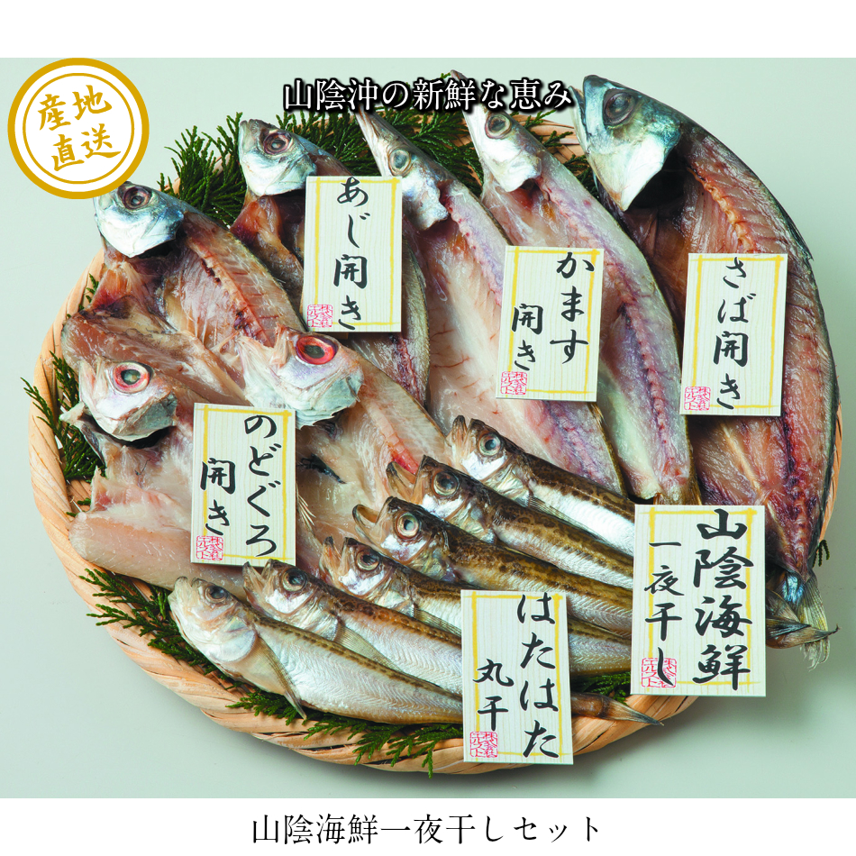 楽天市場 山陰沖の新鮮な魚の干物詰合せ 送料無料 産地直送 贈りもの専科エレガ