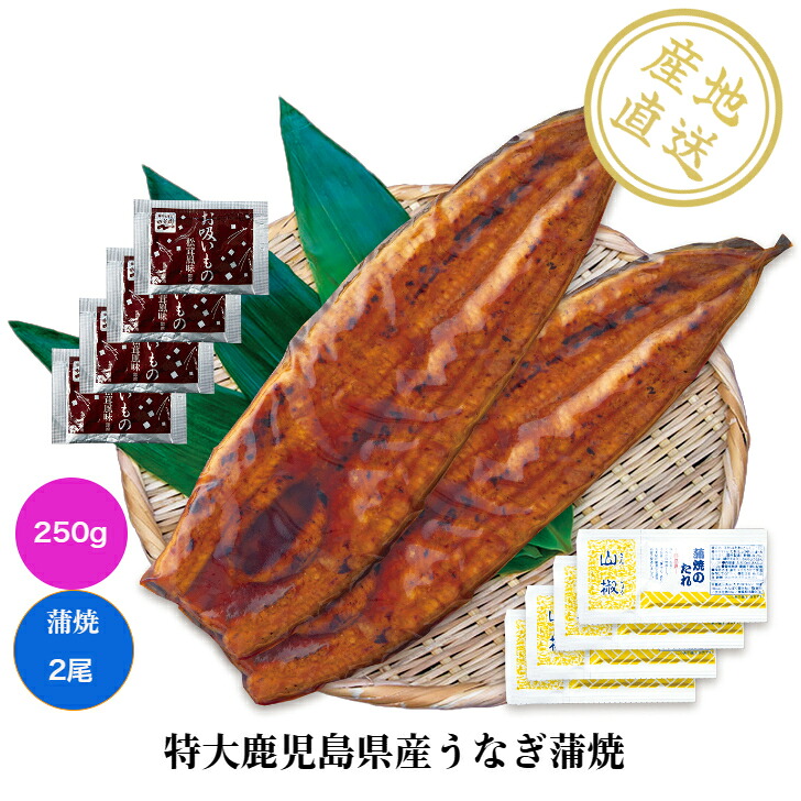 特大鹿児島県産うなぎ　蒲焼2尾（たれ・山椒）・お吸い物付 送料無料 産地直送 国産