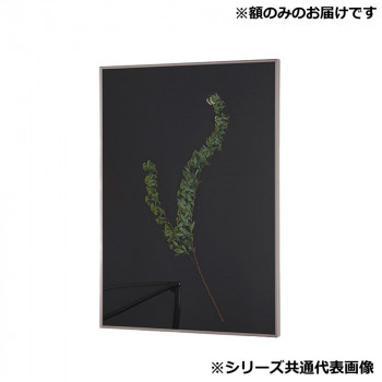 アルナ 額縁 シンプル ALUMIUM RIM マットシルバー 250角 16701｜ELMONO（家具 ラグ カーペット）