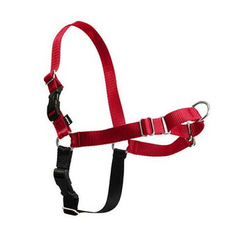 PetSafe Japan ペットセーフ イージーウォークハーネス L レッド×ブラック EWH-HC-L-RED