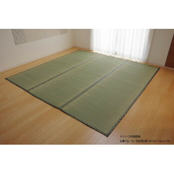 純国産い草 上敷き カーペット 双目織 「松」 団地間2畳 約170×170cm 1010030011202