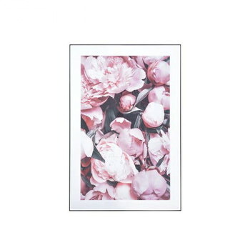 東谷 アートパネル 写真 花 ホワイト 80×120cm ART-200C