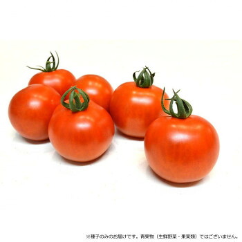 冬のあったか個条特集