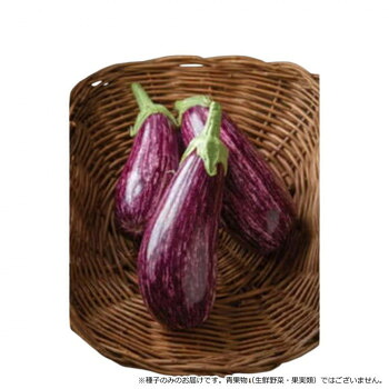 小林種苗 ナス種子 とげなししまじろう　8148　100粒