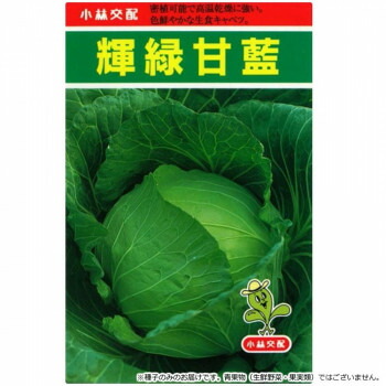 小林種苗 キャベツ種子 輝緑甘藍(きりょくかんらん)　5　20ml