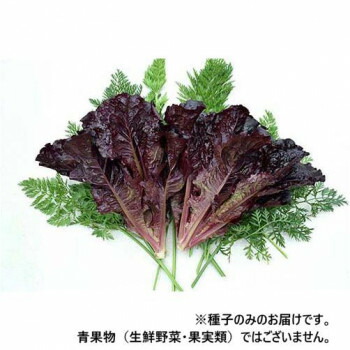 冬のあったか個条特集