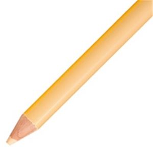 （まとめ）トンボ鉛筆 色鉛筆 単色 12本入 1500-29 うす橙 【×5セット】