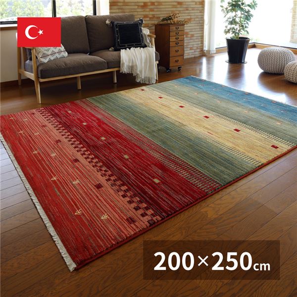 ラグマット 絨毯 約200&times;250cm トルコ製 折りたたみ ホットカーペット 床暖房可 ウィルトン RAKKAS トワル リビング ダイニング【代引不可】｜ELMONO（家具 ラグ カーペット）