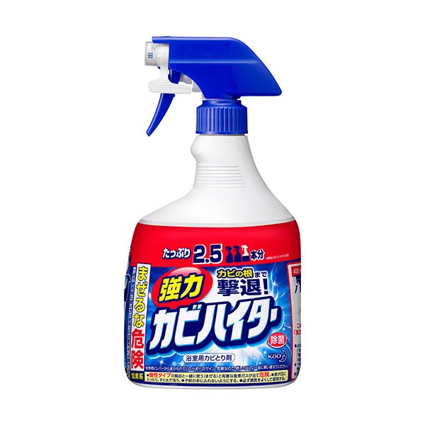 (まとめ)花王 強力カビハイター 特大 本体1000ml 1個【×10セット】|ELMONO(家具 ラグ カーペット)