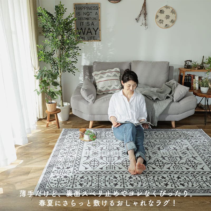 ラグ 冬用 カーペット 3畳 冬 おしゃれ 絨毯 オールシーズン かわいい 滑り止め ヴィンテージ 薄手 アンティーク 軽い さらら感 190x240 センターラグ リビングラグ 可愛い 北欧風 リビング 格安 冬用ラグ じゅうたん 赤ちゃん サイズ デザイン Mseyewears Com