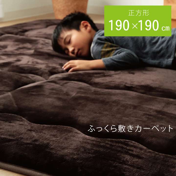 卓出 ラグ こたつ敷布団 厚手 夏用 こたつ 敷布団 夏 2畳 190×190 洗える 滑り止め おしゃれ 撥水 カーペット 防音 正方形 極厚 無地  こたつ敷き布団 韓国 風 fucoa.cl