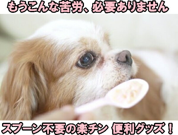 楽天市場 犬猫用シリンジ ピンク 30ml Mサイズ シリンジ 注射器 ペット 動物 動物用 犬 猫 犬猫 えさやり 流動食 食事 ドッグフード キャットフード 水やり えさ 餌 給餌 介護 老犬 老猫 小型犬 小型猫 小動物 エルサチ