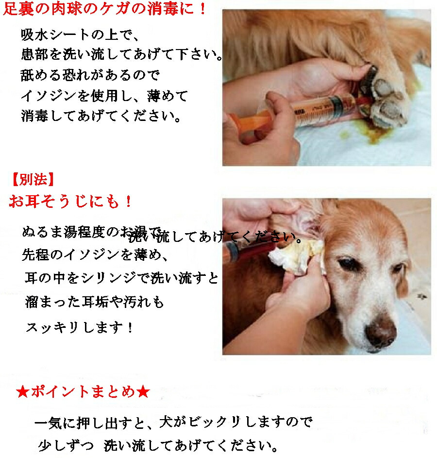 楽天市場 犬猫用シリンジ ブルー 50ml Lサイズ シリンジ 注射器 ペット 動物 動物用 犬 猫 犬猫 えさやり 食事 ドッグフード キャットフード 水やり えさ 餌 給餌 介護 老犬 老猫 小型犬 小型猫 小動物 エルサチ