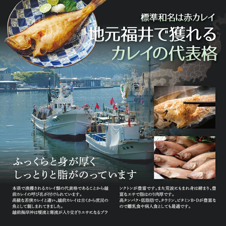 越前産 カレイ干物 3尾セット 割り引き