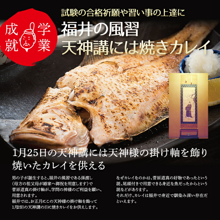 越前産 カレイ干物 3尾セット 割り引き
