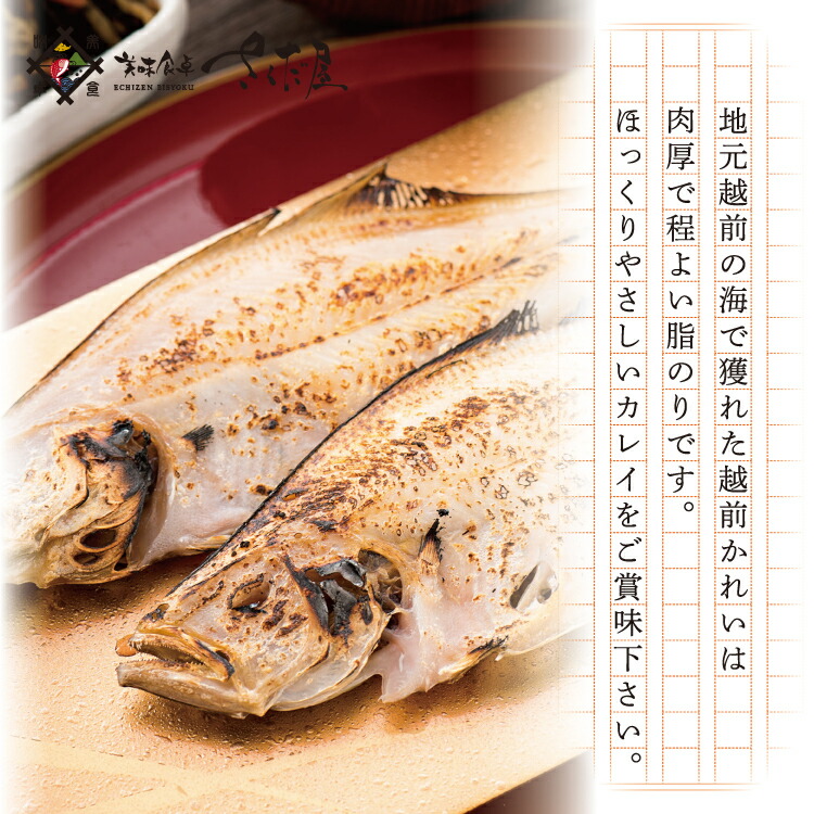 越前産 カレイ干物 3尾セット 割り引き