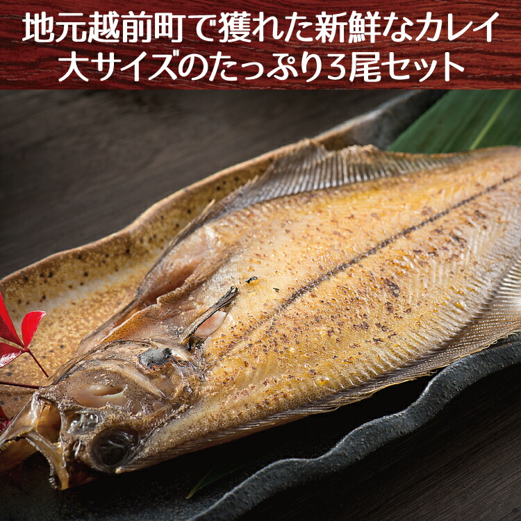 越前産 カレイ干物 3尾セット 割り引き