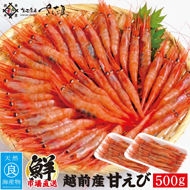 福井県産 甘えび たっぷり500g 日本海 甘エビ アマエビ 海鮮 ふくい甘えび