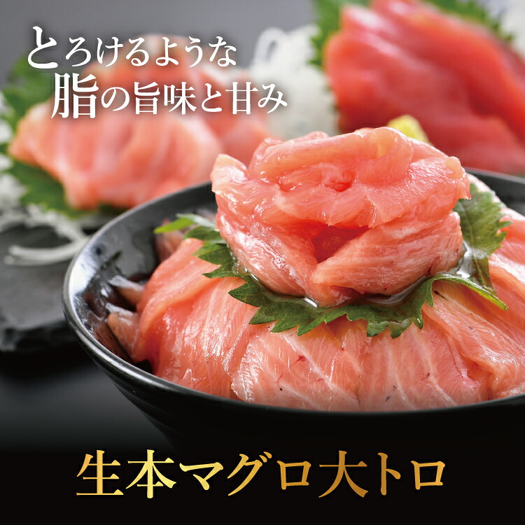 国産生本マグロ 大トロと赤身 2種セット 国産生本マグロ 大トロと赤身 2種セット