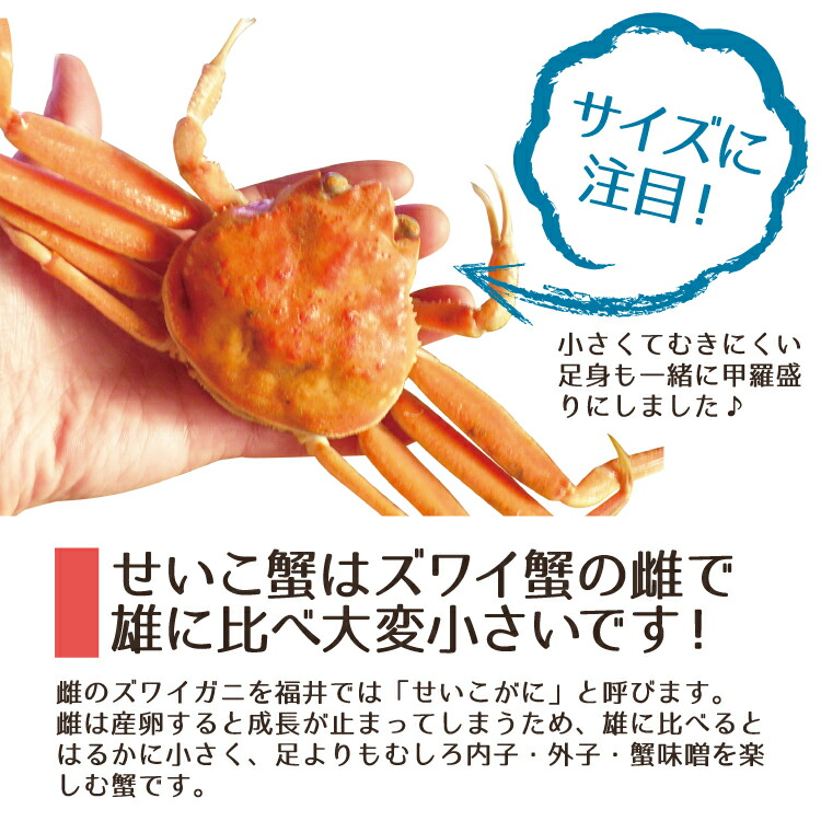 グルメ評論家推薦 雑誌掲載商品 セイコガニ 香箱蟹 福井県産 山陰産 甲羅盛り せいこ蟹 数量限定 5個セット カニ面にも 冷凍便 - soone.it