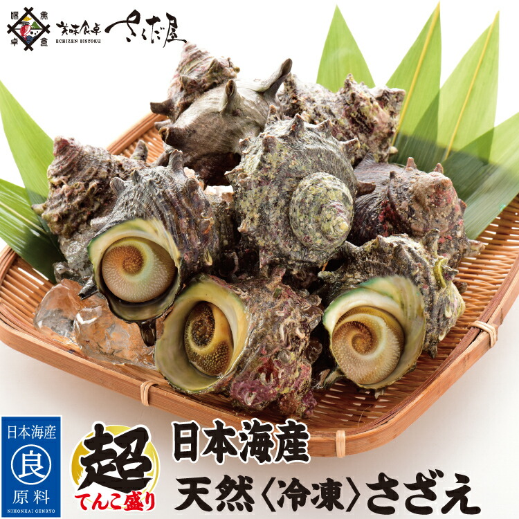 楽天市場】日本海産☆天然活サザエ1.5kg【約15個】【天然サザエ 楽天市場】日本海産☆天然活サザエ1.5kg【約15個】【天然サザエ