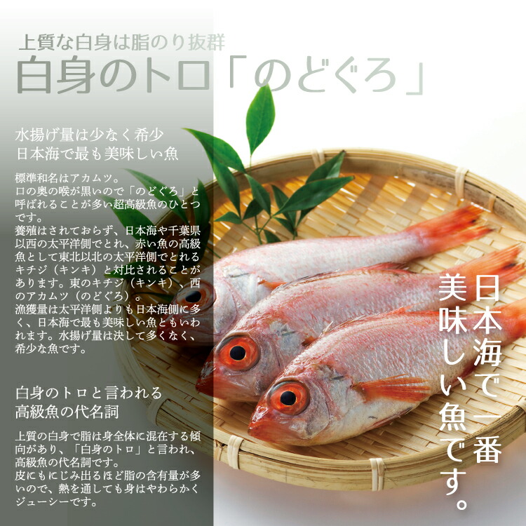 楽天市場 国産のどぐろ刺身 1パック0g ノドグロ しゃぶしゃぶ 冷凍便 美味食卓さくだ屋