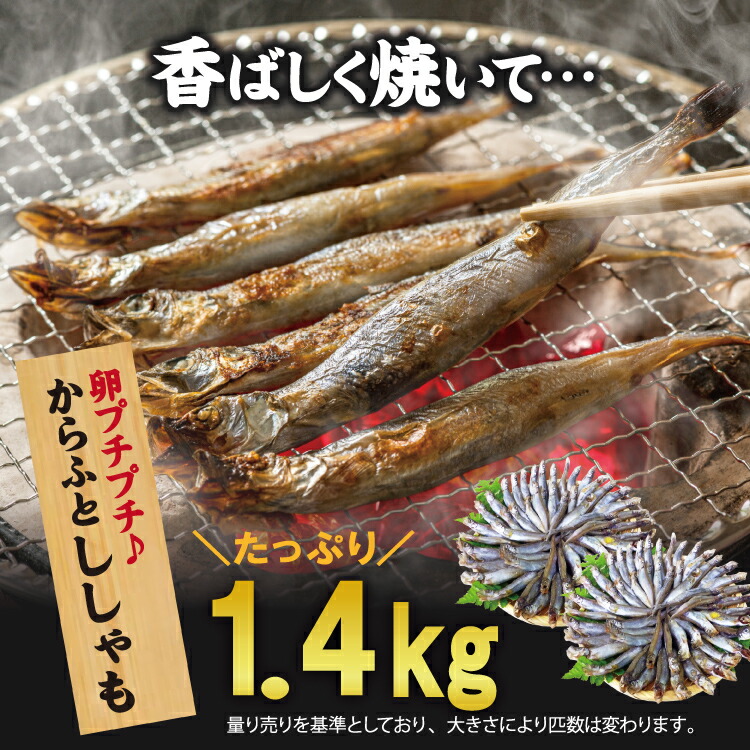 市場 カラフトシシャモ 冷凍便 お徳用1.4kg 訳あり ししゃも