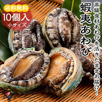 冷蔵便 アワビ 活き蝦夷あわび 10個 海鮮 バーベキューセット 海鮮 ミニサイズ qセット 冷蔵便 アワビ 活き蝦夷あわび 10個 海鮮 バーベキューセット 海鮮 ミニサイズ qセット