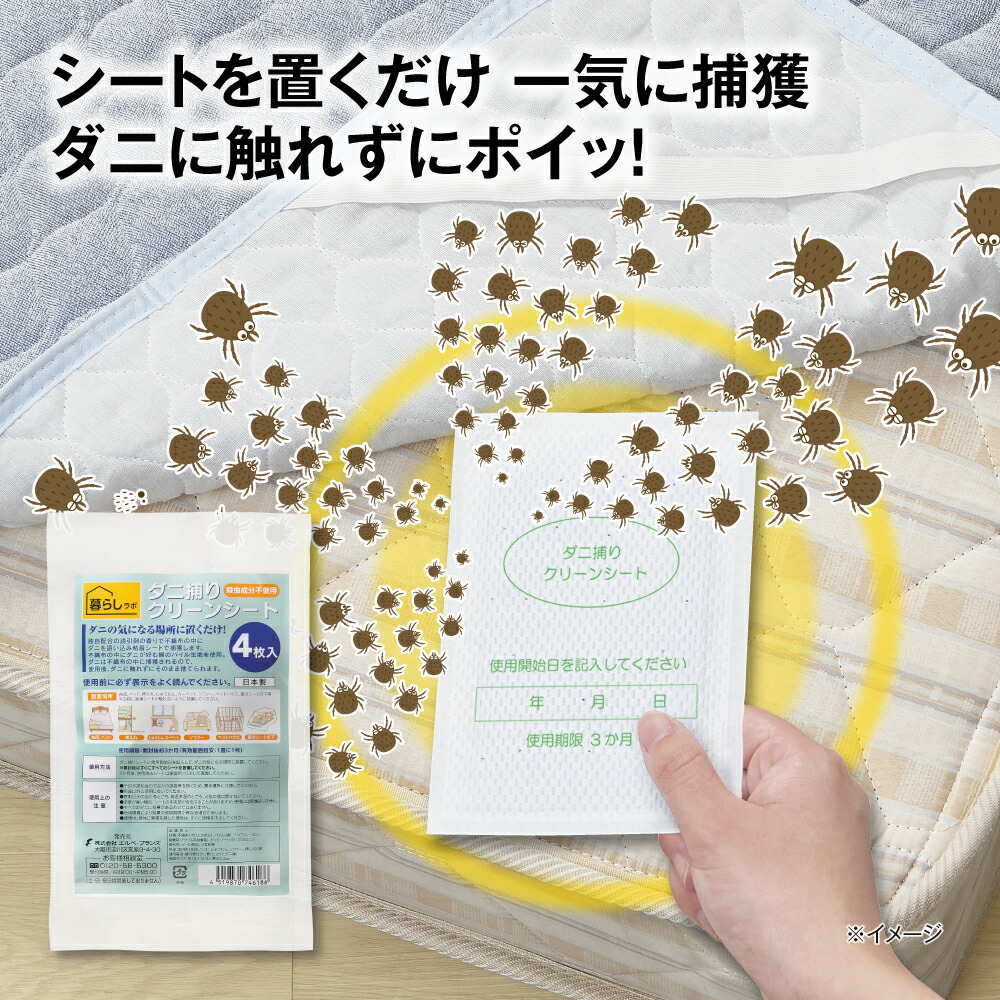 掃除を重視する方へ！自宅で洗濯で防ダニ仕様でグリーン約１９０×１９０（四角） 楽天市場】【26日1:59までポイント最大32倍】【4枚/8枚/16枚入 送料
