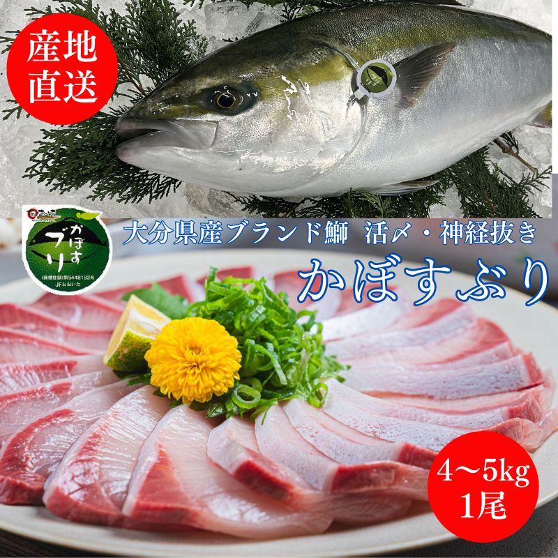 大分県産 カボスブリ 1本物 4～5KG 三枚おろし 加工します 送料無料 冬季限定商品 お刺身 りゅうきゅう ぶり丼 鰤しゃぶ 鰤大根 ブランドブリ おススメ 人気商品 活〆 神経締め 神経抜き  業務用 おんせん県 ギフト かぼすブリ かぼすぶり 1尾 ラウンド ドレス フィーレ