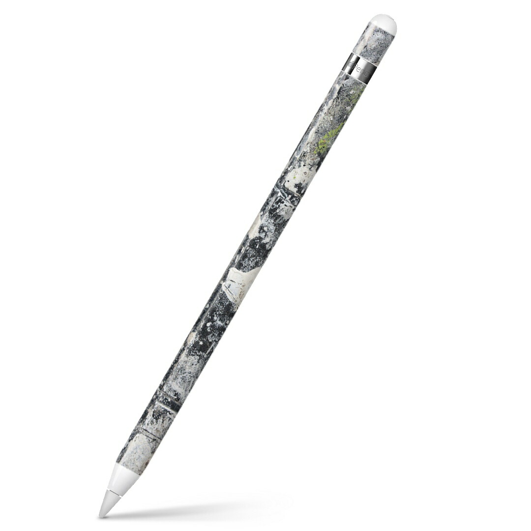 アップルペンシル Apple Pencil第2世代 A2051 MU8F2J/A 純正品（未使用） Apple
