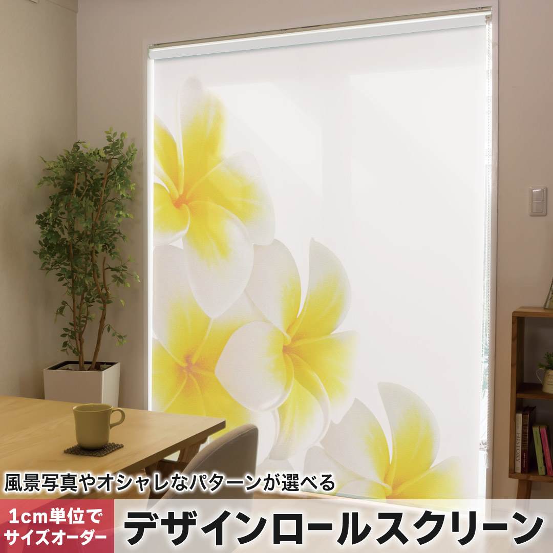 1cm単位サイズオーダー ロールスクリーン ロールカーテン オーダーメイド タチカワ 日本製 間仕切り カーテン 採光 非遮光 目隠し UVカット カーテンレール チェーン式 プル式 花 プルメリア 001027|e-Mart