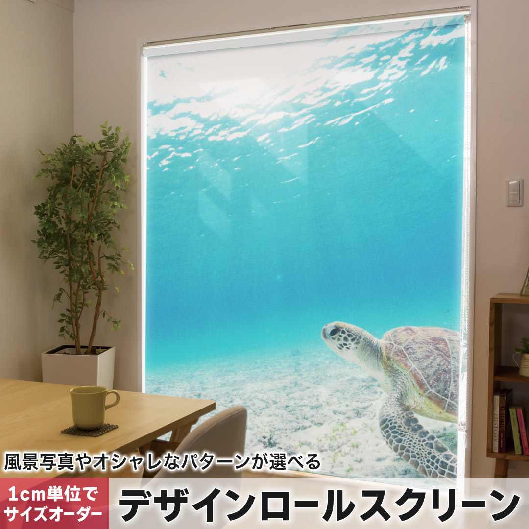 1cm単位サイズオーダー ロールスクリーン ロールカーテン オーダーメイド タチカワ 日本製 間仕切り カーテン 採光 非遮光 目隠し UVカット カーテンレール チェーン式 プル式 ウミガメ 海 写真 004605