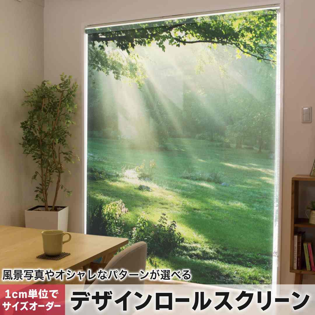 1cm単位サイズオーダー ロールスクリーン ロールカーテン オーダーメイド タチカワ 日本製 間仕切り カーテン 採光 非遮光 目隠し UVカット カーテンレール チェーン式 プル式 森 写真 景色 004644