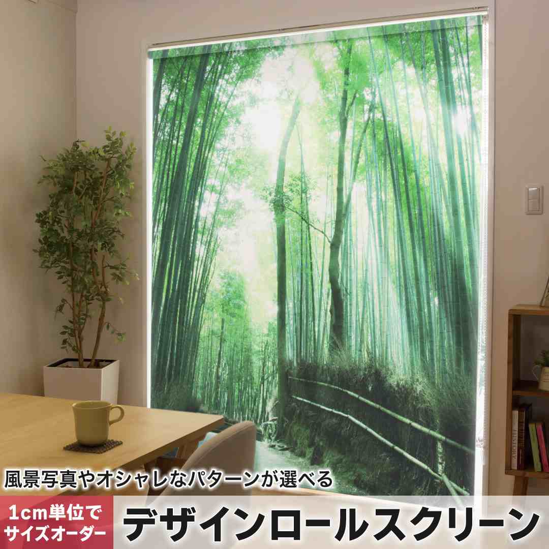 1cm単位サイズオーダー ロールスクリーン ロールカーテン オーダーメイド タチカワ 日本製 間仕切り カーテン 採光 非遮光 目隠し UVカット カーテンレール チェーン式 プル式 景色 竹林 写真 004996