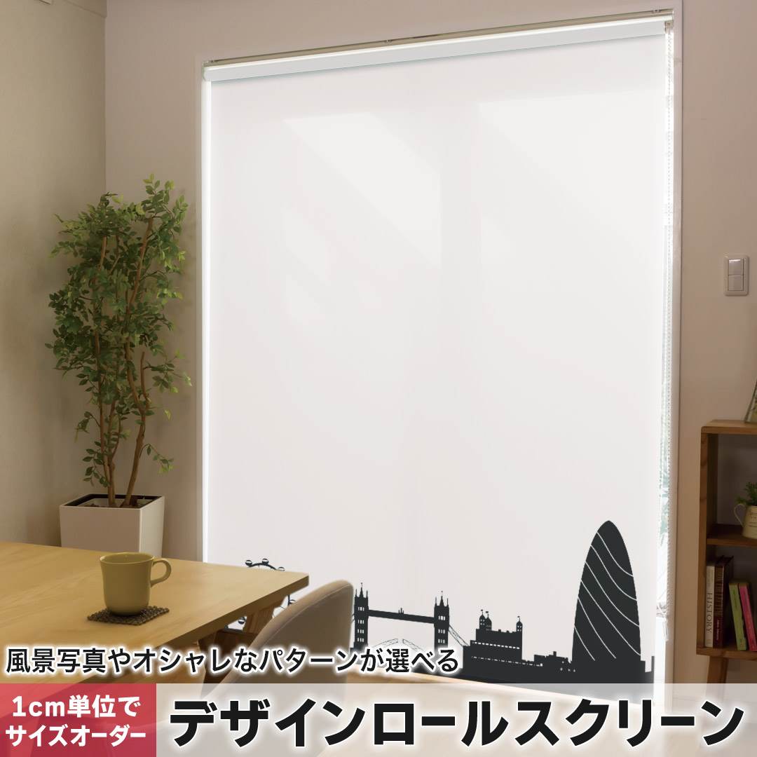 1cm単位サイズオーダー ロールスクリーン ロールカーテン オーダーメイド タチカワ 日本製 間仕切り カーテン 採光 非遮光 目隠し UVカット カーテンレール チェーン式 プル式 風景 景色 モノクロ 009416
