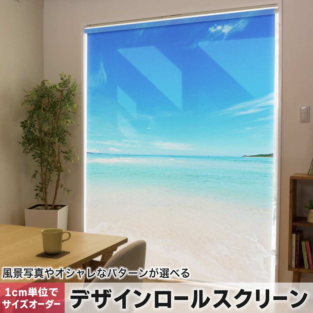 1糎ユニット大きさ購入注文 ロールスクリーン ロールカーテン 購入注文お手伝いさん タチカワ 日本製 中仕切り 覆い布 採光 非遮光 包みかくし UVとり捨てる 覆い布線路 チェーン店式 引っ張ること式 見晴らし 海 空 活動写真 009637