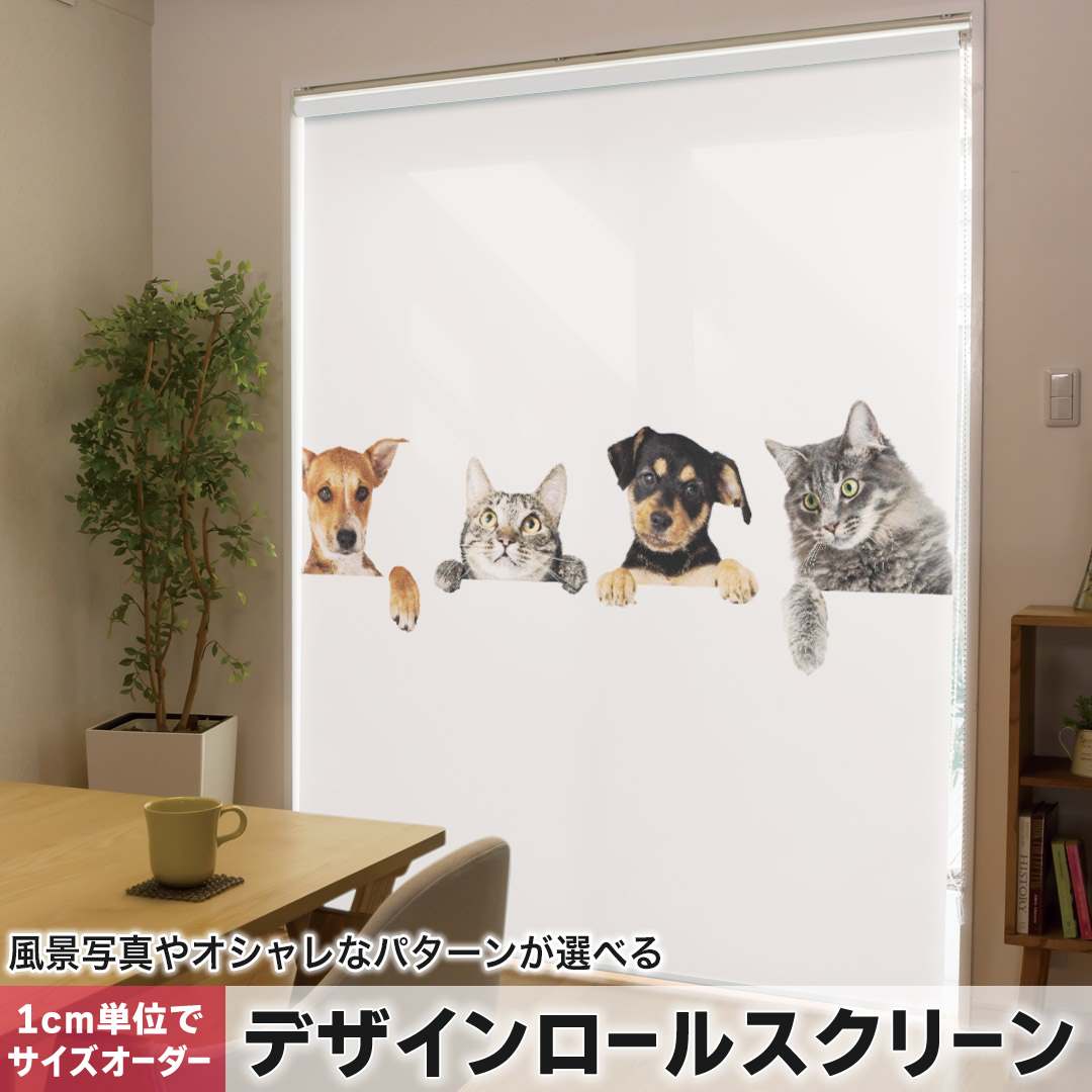 1糎ユニット大きさ購入注文 ロールスクリーン ロールカーテン 購入注文お手伝いさん タチカワ 日本製 中仕切り 覆い布 採光 非遮光 包みかくし UVとり捨てる 覆い布線路 チェーン店式 引っ張ること式 犬 猫 活動写真 009675