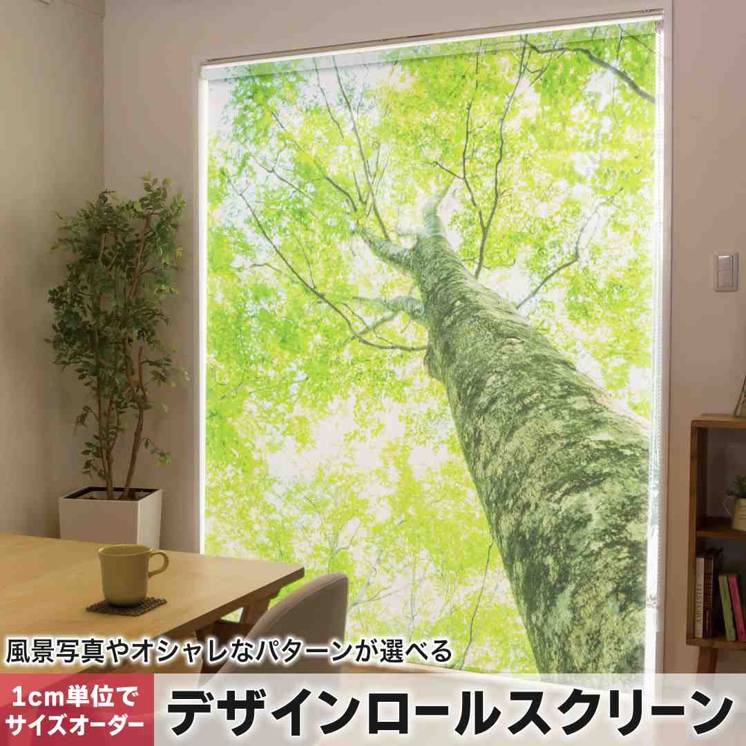 1糎ユニット大きさ購入注文 ロールスクリーン ロールカーテン 購入注文お手伝いさん タチカワ 日本製 中仕切り 覆い布 採光 非遮光 包みかくし UVとり捨てる 覆い布線路 チェーン店式 引っ張ること式 草木 緑 活動写真 009755