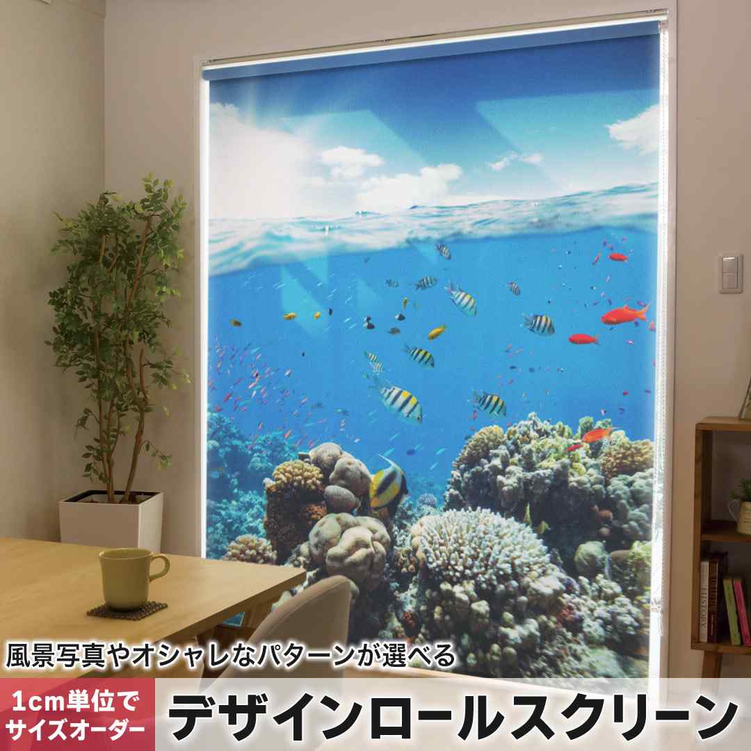1糎ユニット大きさ購入注文 ロールスクリーン ロールカーテン 購入注文お手伝いさん タチカワ 日本製 中仕切り 覆い布 採光 非遮光 包みかくし UVとり捨てる 覆い布線路 チェーン店式 引っ張ること式 海 魚 活動写真 010920