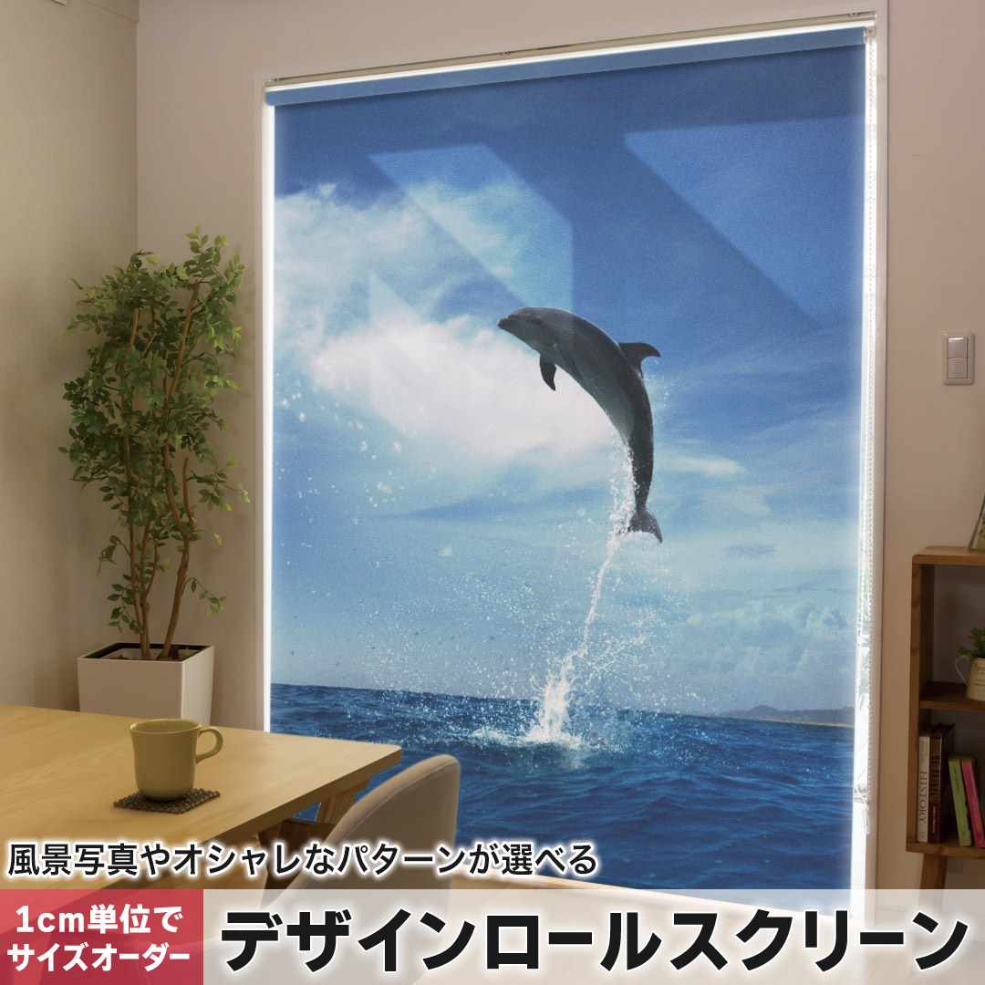 1糎ユニット大きさ購入注文 ロールスクリーン ロールカーテン 購入注文お手伝いさん タチカワ 日本製 中仕切り 覆い布 採光 非遮光 包みかくし UVとり捨てる 覆い布線路 チェーン店式 引っ張ること式 海 海豚 活動写真 010965