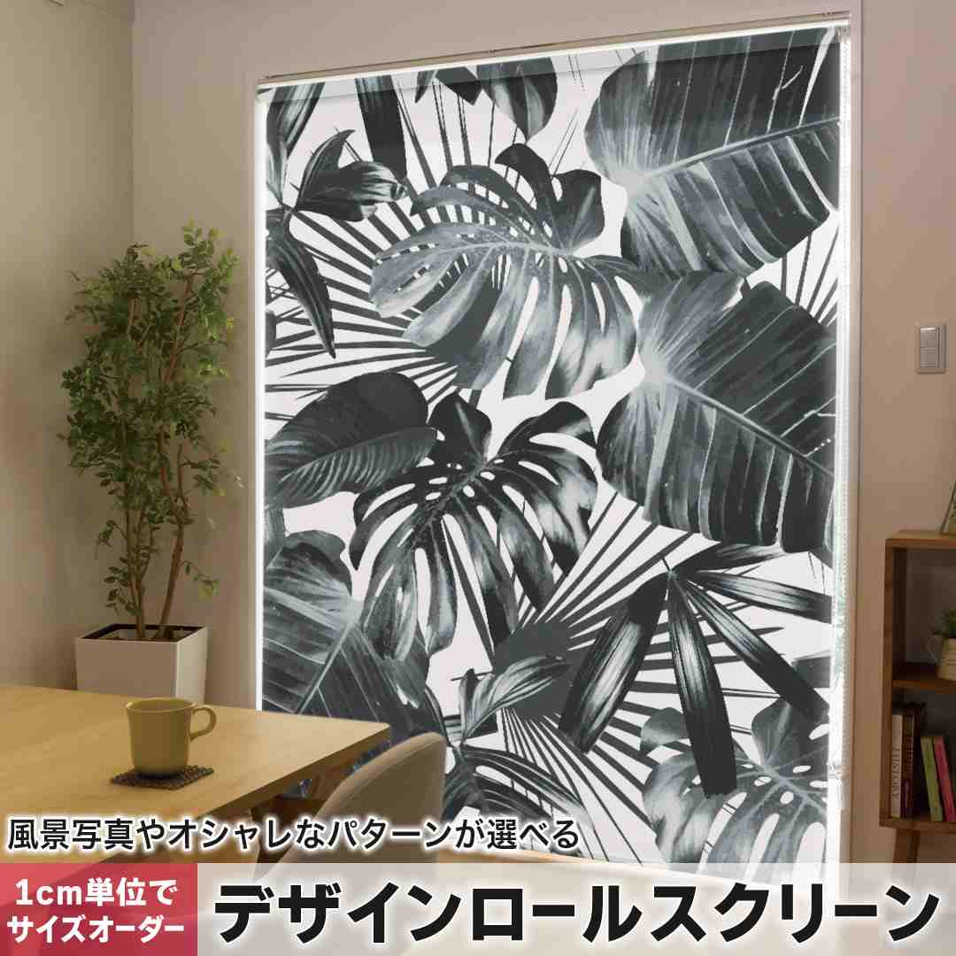 1糎ユニット大きさ購入注文 ロールスクリーン ロールカーテン 購入注文お手伝いさん タチカワ 日本製 中仕切り 覆い布 採光 非遮光 包みかくし UVとり捨てる 覆い布線路 チェーン店式 引っ張ること式 夏 ボタニカル モノクロ 011157