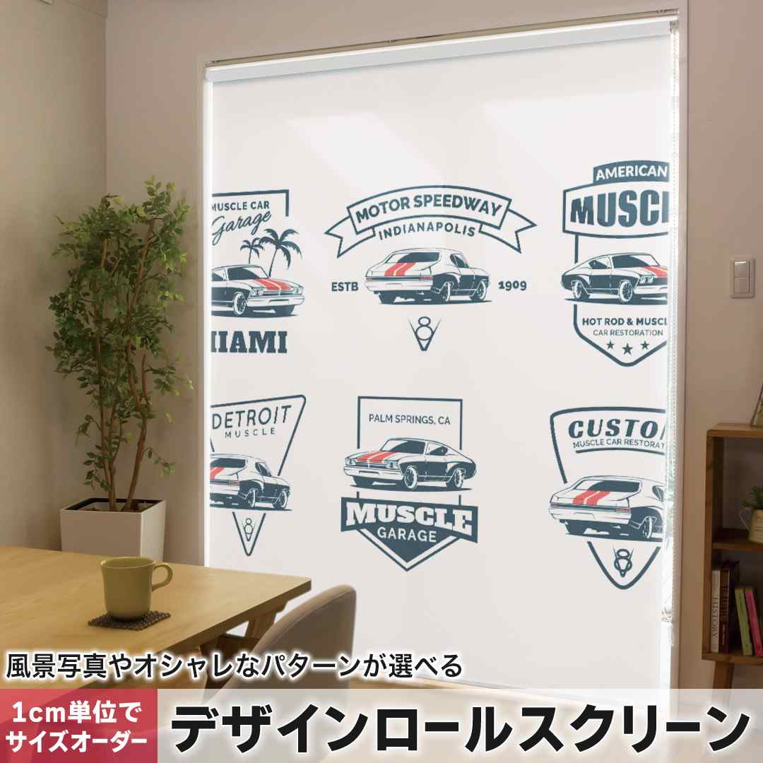 1糎ユニット大きさ購入注文 ロールスクリーン ロールカーテン 購入注文お手伝いさん タチカワ 日本製 中仕切り 覆い布 採光 非遮光 包みかくし UVとり捨てる 覆い布線路 チェーン店式 引っ張ること式 アメリカン 車 英語 016252