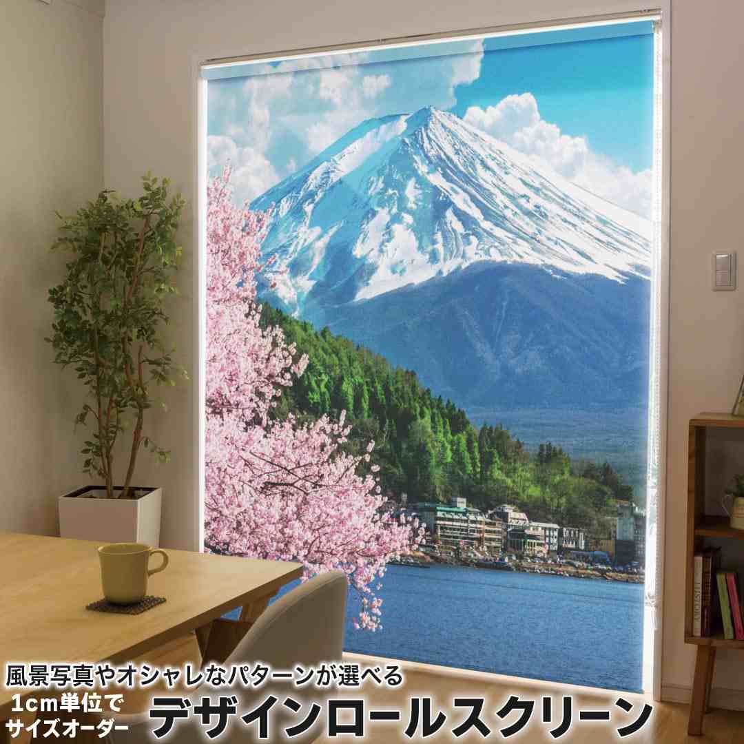1糎ユニット大きさ購入注文 ロールスクリーン ロールカーテン 購入注文お手伝いさん タチカワ 日本製 中仕切り 覆い布 採光 非遮光 包みかくし UVとり捨てる 覆い布線路 チェーン店式 引っ張ること式 富士山 見晴らし 033666