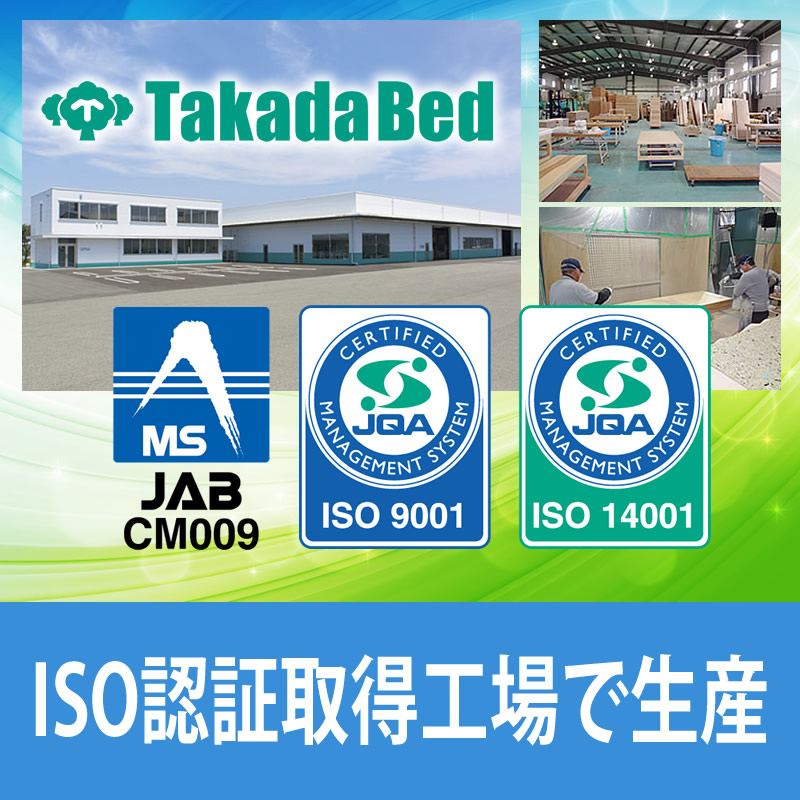 日本製 高田ベッド製作所 パラレルPX TB-1409 訓練台 ベッド リハビリ トレーニング 国産