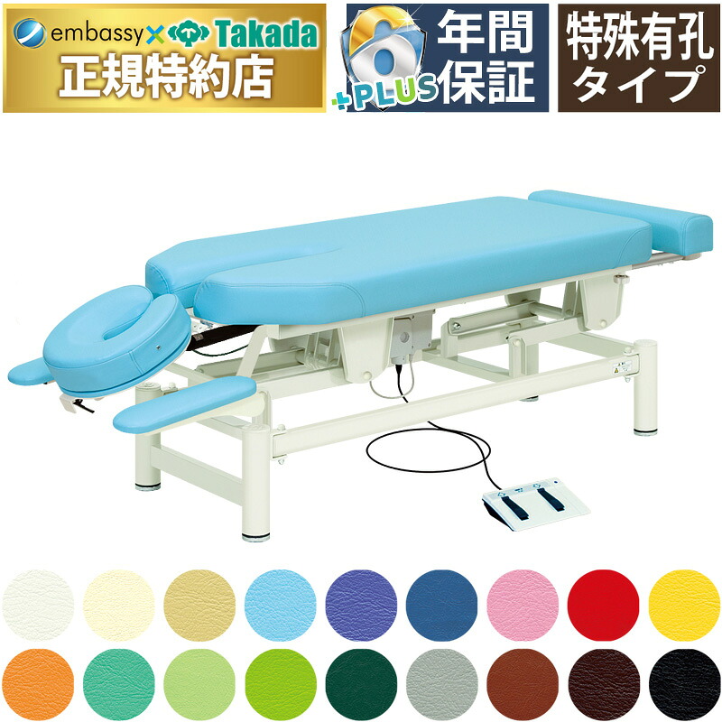 【ポイント6倍】高田ベッド ゼウス 電動マッサージベッド カイロベッド アプローチベッド 長穴有孔 伸縮式フッドレスト ヘッド部ガスシリンダー式調節 診察台 国産 TB-306