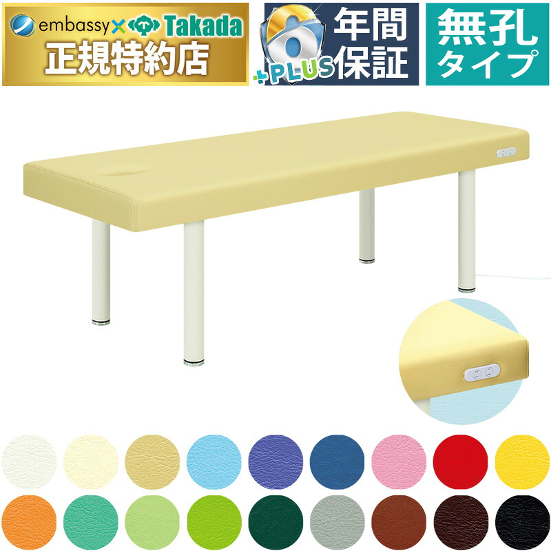 【ポイント6倍】高田ベッド 無孔ミント マッサージベッド 整体ベッド エステ 施術用 医療用 治療用 リラクゼーション アロマ診察台 施術台 診察ベッド 国産 TB-457