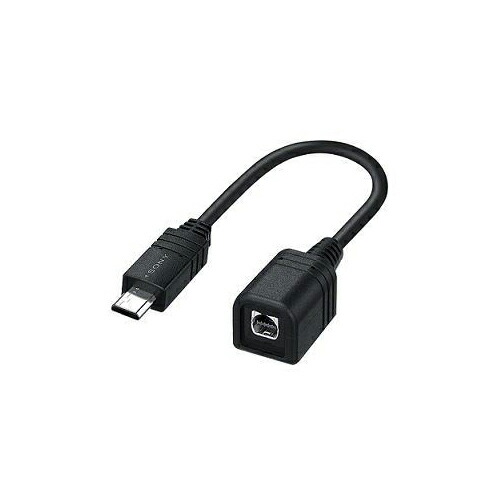 楽天市場】【5セット】 ホーリック HDMI-DVI変換ケーブル 1m