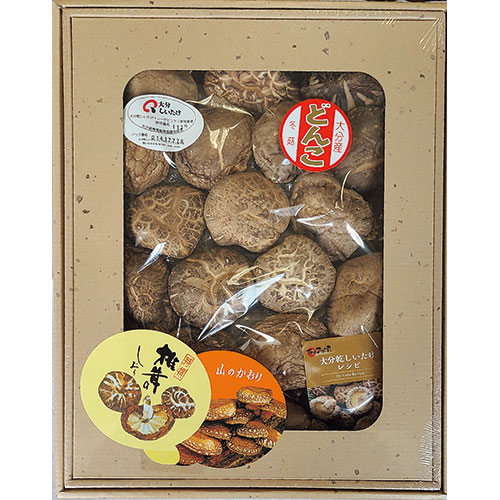マルトモ物産 大分産どんこ椎茸 170g 【大分産 どんこ/170g】 FUJI-610369690