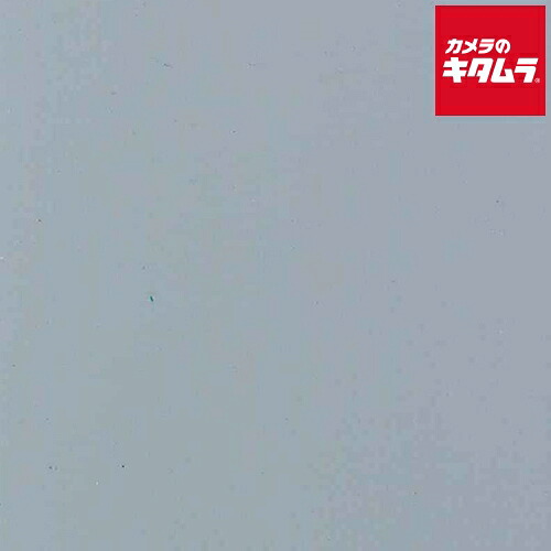 初夏から差が付く！夏の好いたらしい家電御引き回し2026